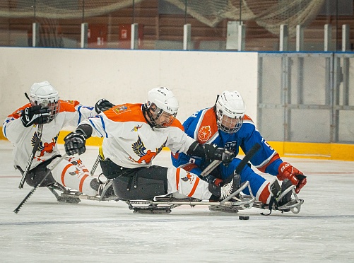 Серебро чемпионата России по следж-хоккею у «АКМ следж» - фото 8