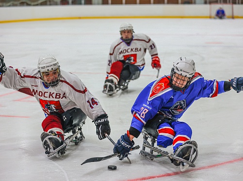«АКМ следж» уверено выступил на втором круге чемпионата России в Алексине.  - фото 0