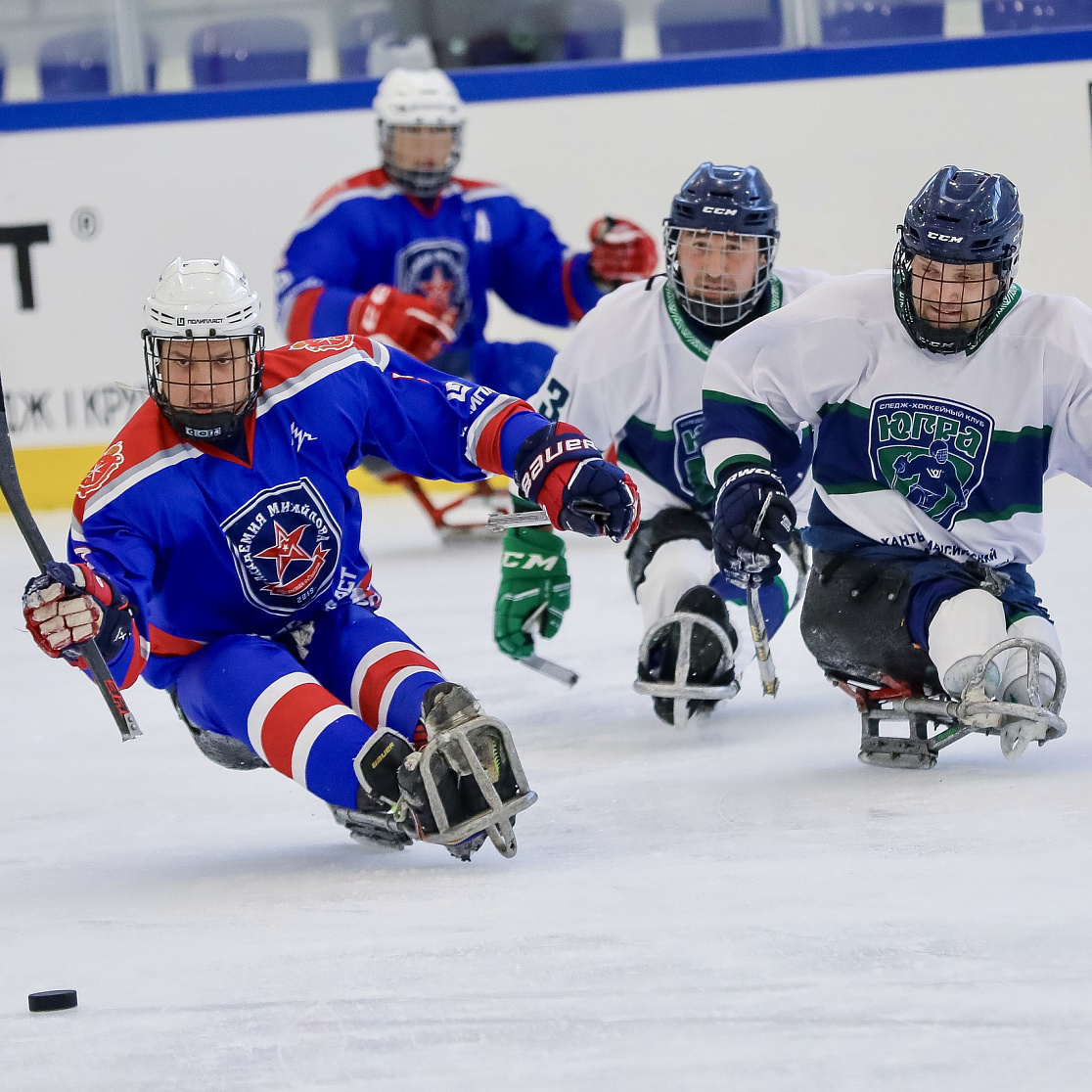 Команда «АКМ-следж» успешно завершила первый круг чемпионата России по хоккею-следж 2025/2026