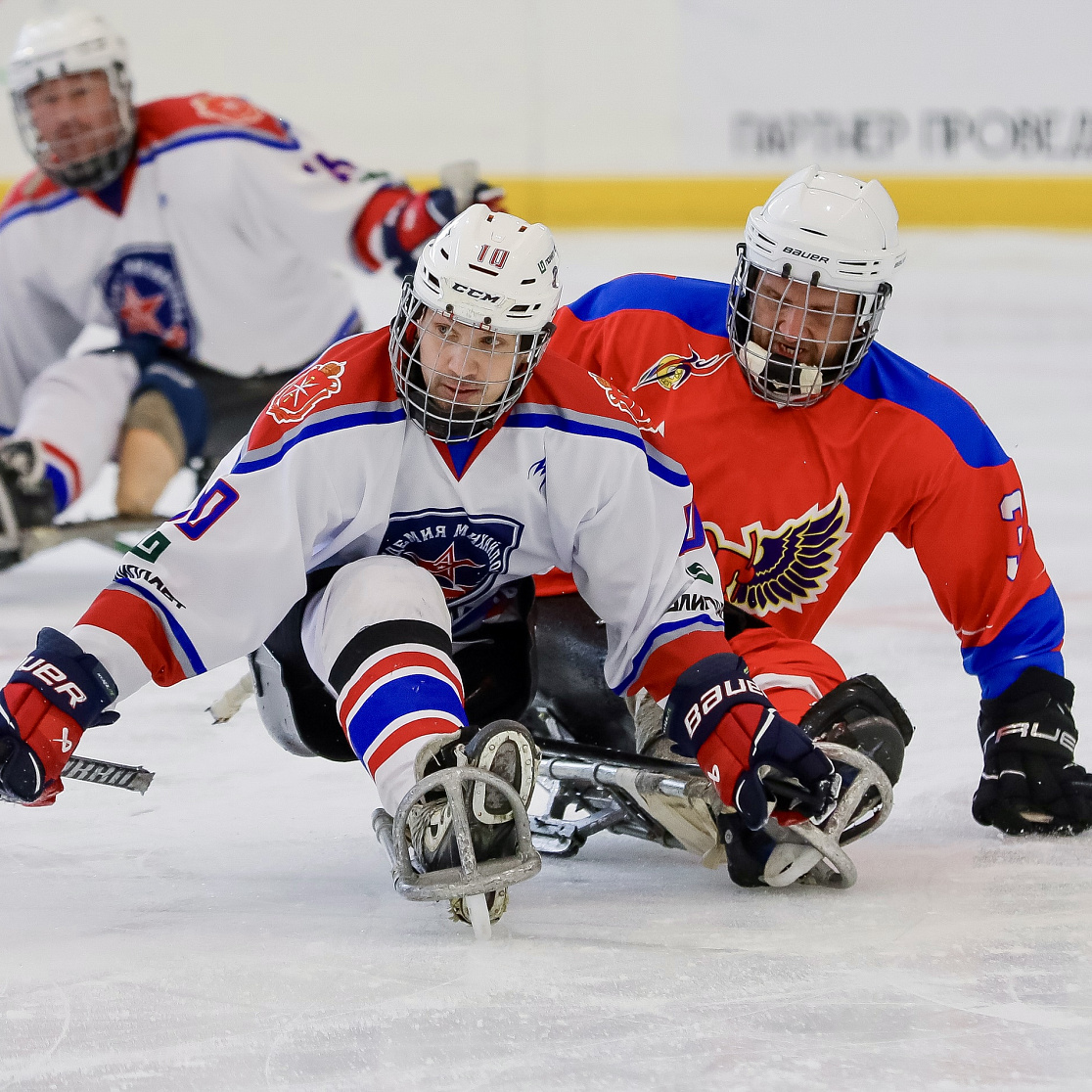 «АКМ-следж» проведет товарищеские матчи с СХК «Феникс»